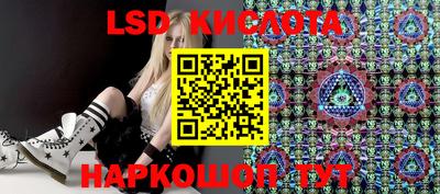 крисы Славгород