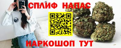 крисы Славгород