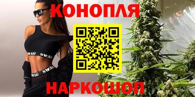 крисы Славгород