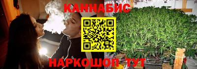 крисы Славгород