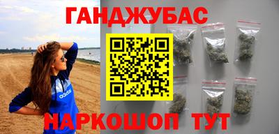 крисы Славгород