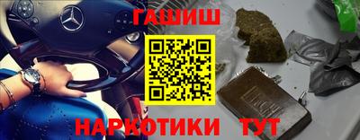 крисы Славгород