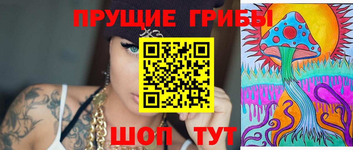 Псилоцибиновые грибы Psilocybine cubensis Октябрьский